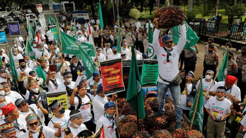 Los agricultores de Indonesia protestan contra el aumento del costo de la prohibición de exportación de aceite de palma