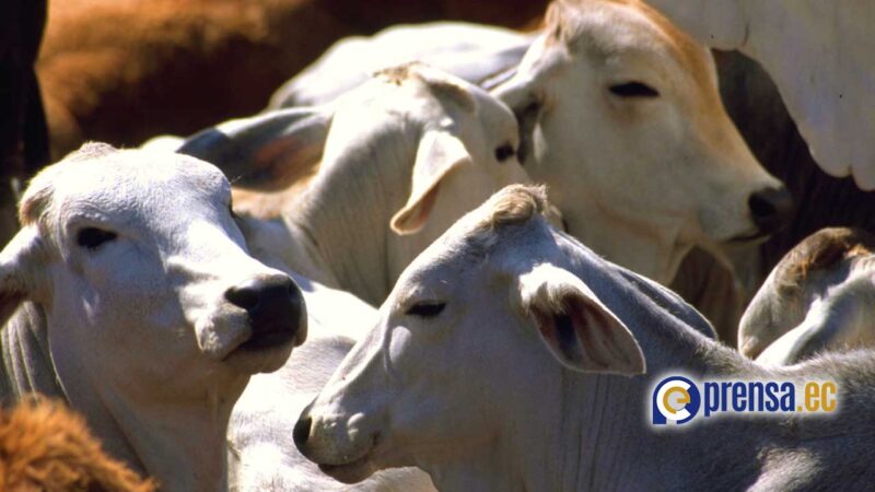 MINAG marcha con metas claras a pesar del bloqueo económico impuesto por EE.UU