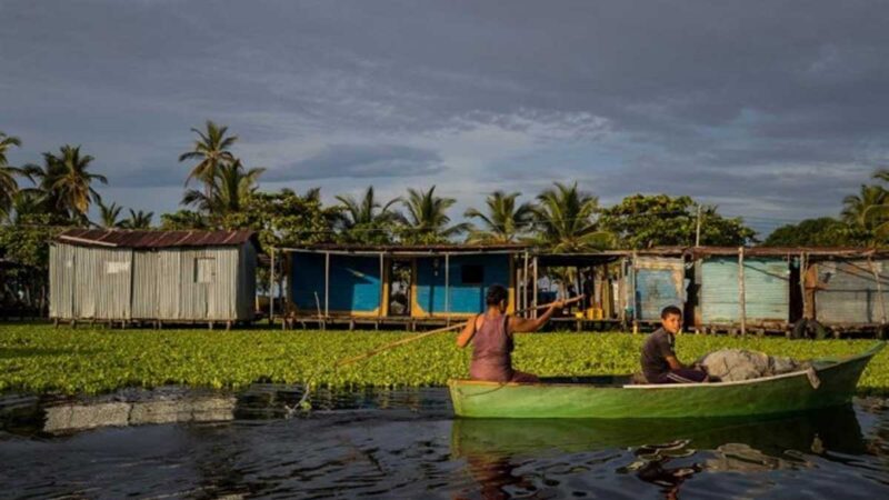 ONG de Venezuela alerta sobre pérdida acelerada de la diversidad biológica