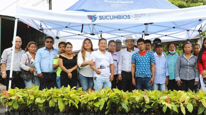 Prefectura entrega plantas de cacao a pobladores de la parroquia San Roque