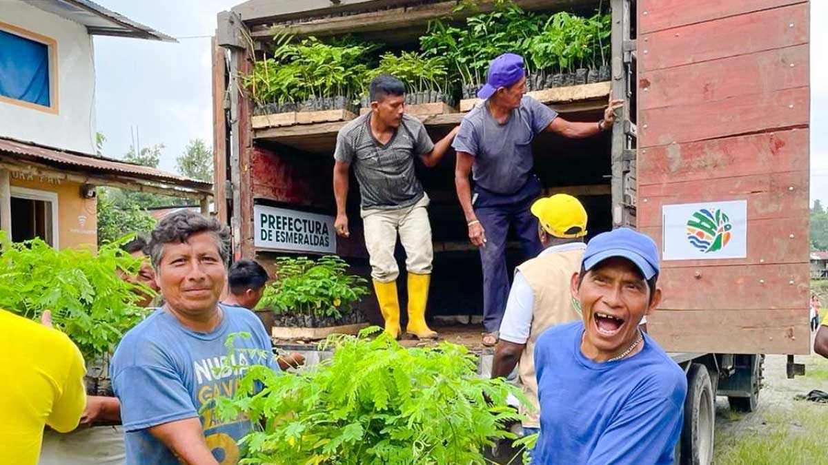 Prefectura impulsa la reactivación económica del sector agro productivo