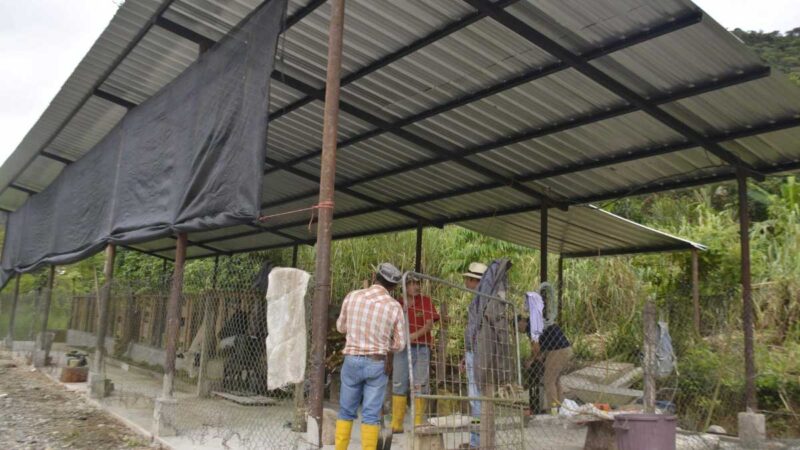 Prefectura trabaja en la construcción de establos en Centinela del Cóndor