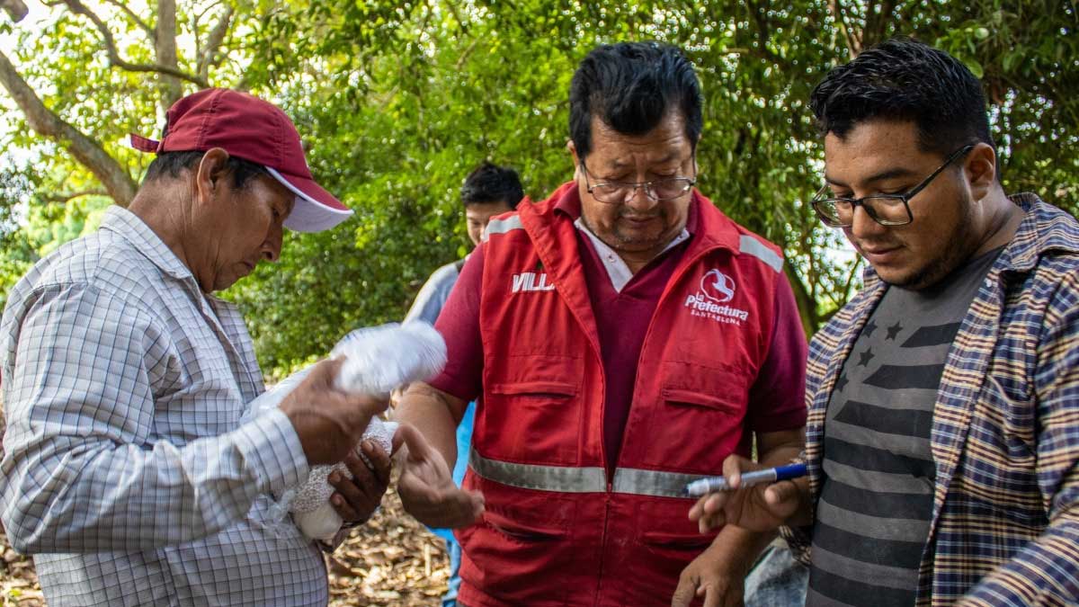 Productores de Comuna Alta participan en taller de elaboración de abonos