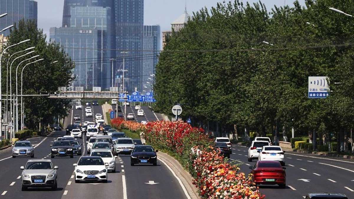 Rosas chinas decoran la segunda carretera de circunvalación de Beijing