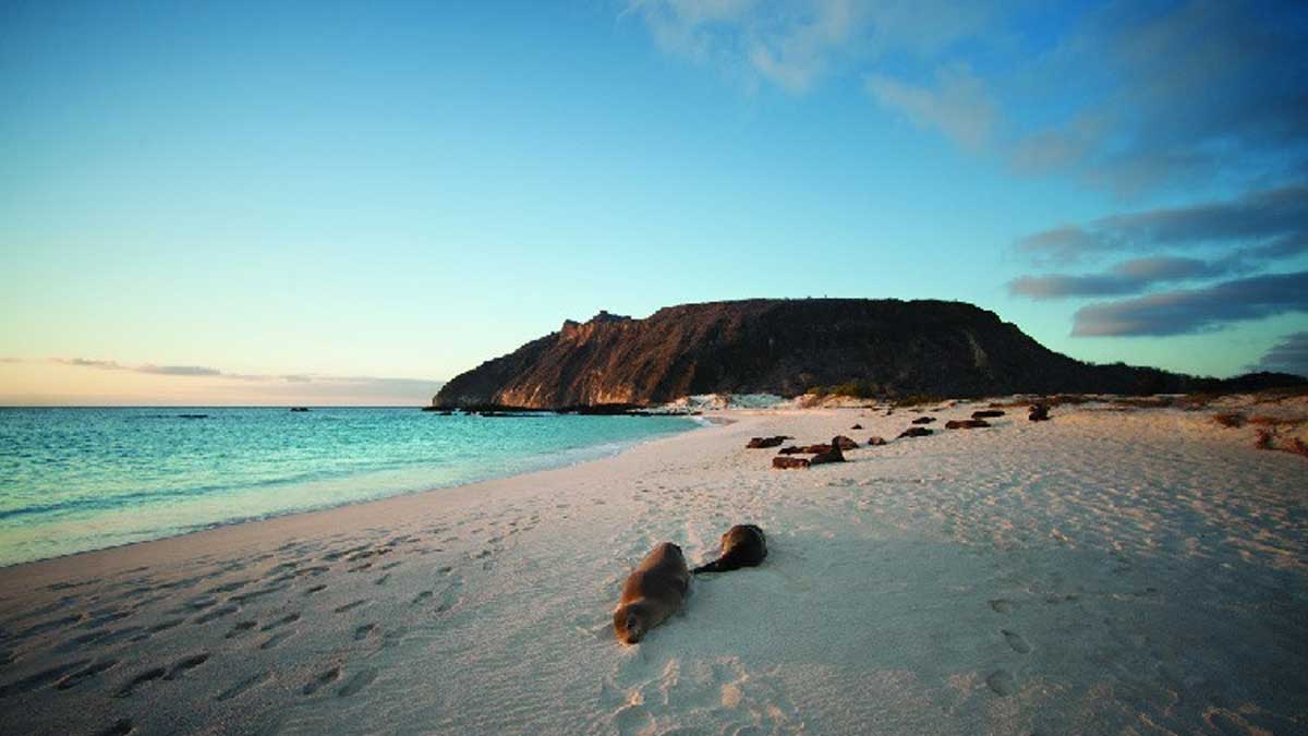 Se aprueba financiamiento de 117 millones de dólares para luchar contra el cambio climático en las Islas Galápagos