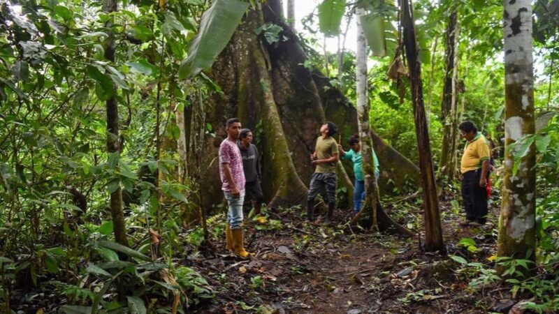 Se brinda capacitaciones a habitantes de la parroquia Limoncocha