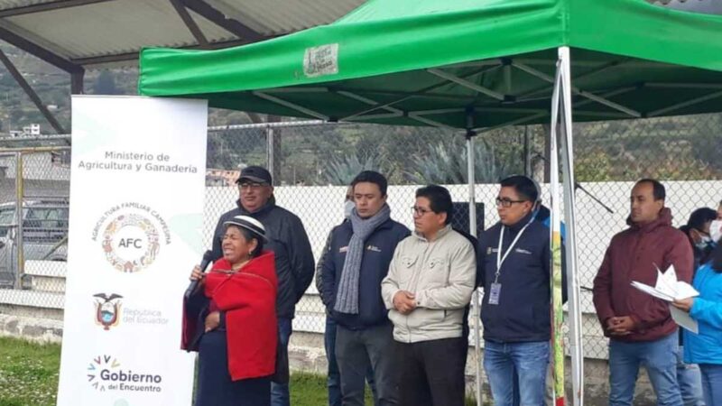 Se fortalece la cadena de valor de la quinua