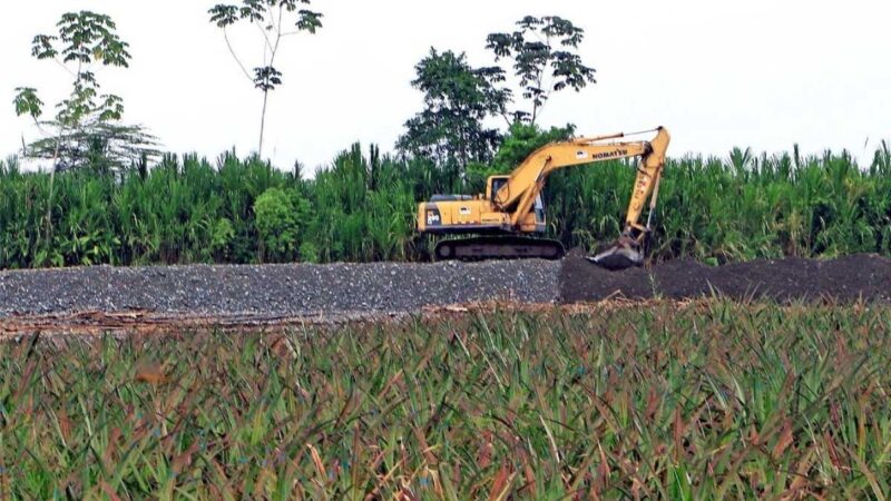 Se realizan trabajos a favor del sector agrícola