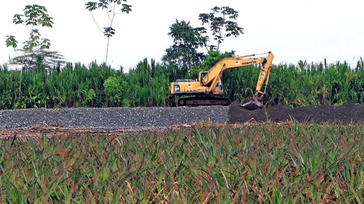 Se realizan trabajos a favor del sector agrícola
