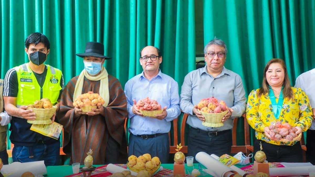 Vuelve el XXI Festival de la Papa Amarilla