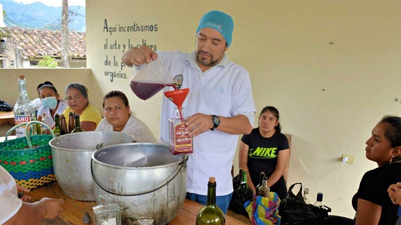 AGROPZACHIN fomenta y fortalece el desarrollo de emprendimientos