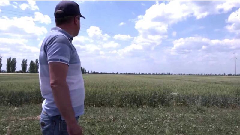 Agricultores sitiados de Ucrania temen un ‘infierno’ de cosechas en tiempo de guerra