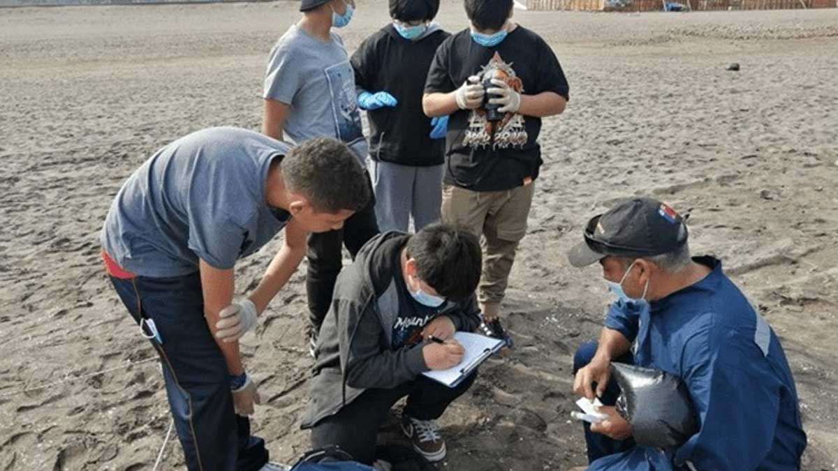 Basura plástica y colillas son frecuentes en las playas de Latinoamérica según estudio de Ciencia Ciudadana