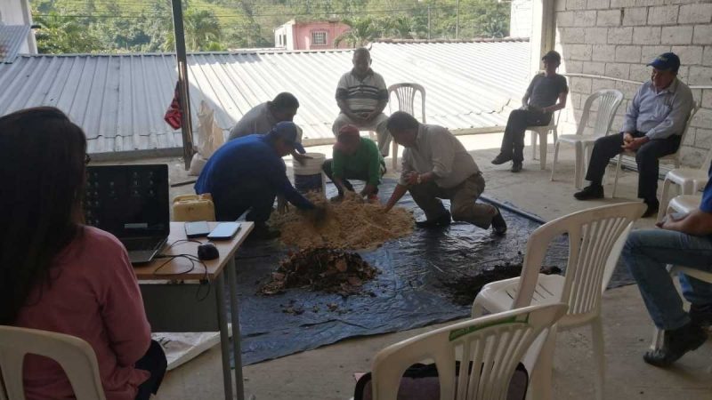 Cafetaleros de Piñas se capacitan en elaboración de microorganismos sólidos