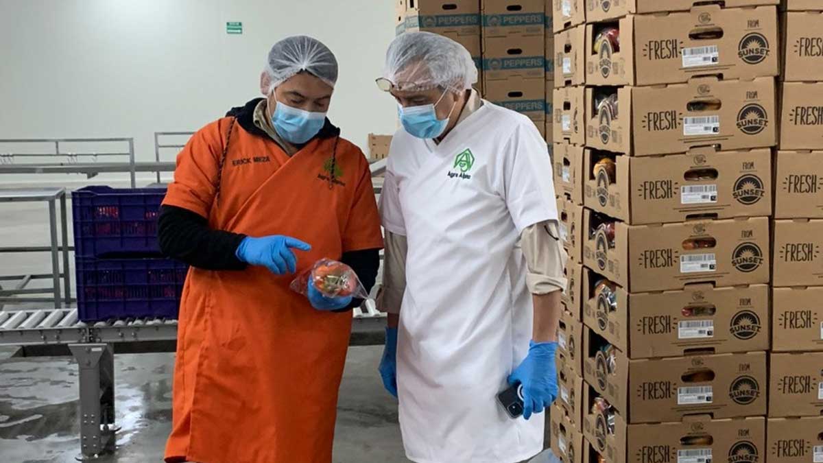 Capacitan a inspectores fitosanitarios