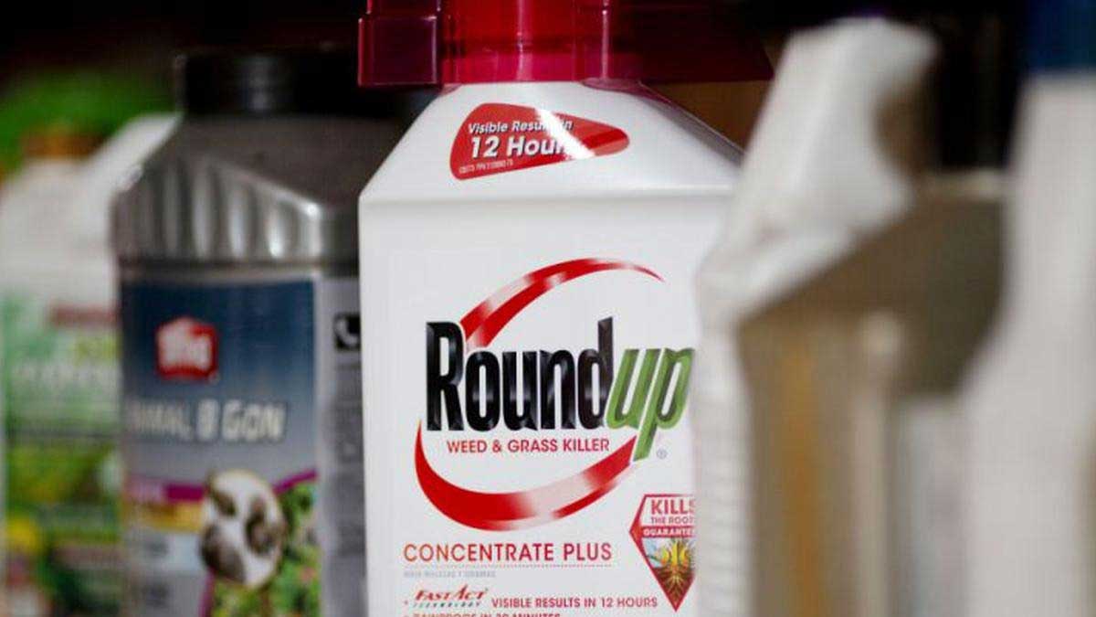 Corte Suprema de EEUU da un duro golpe al herbicida Roundup de Bayer