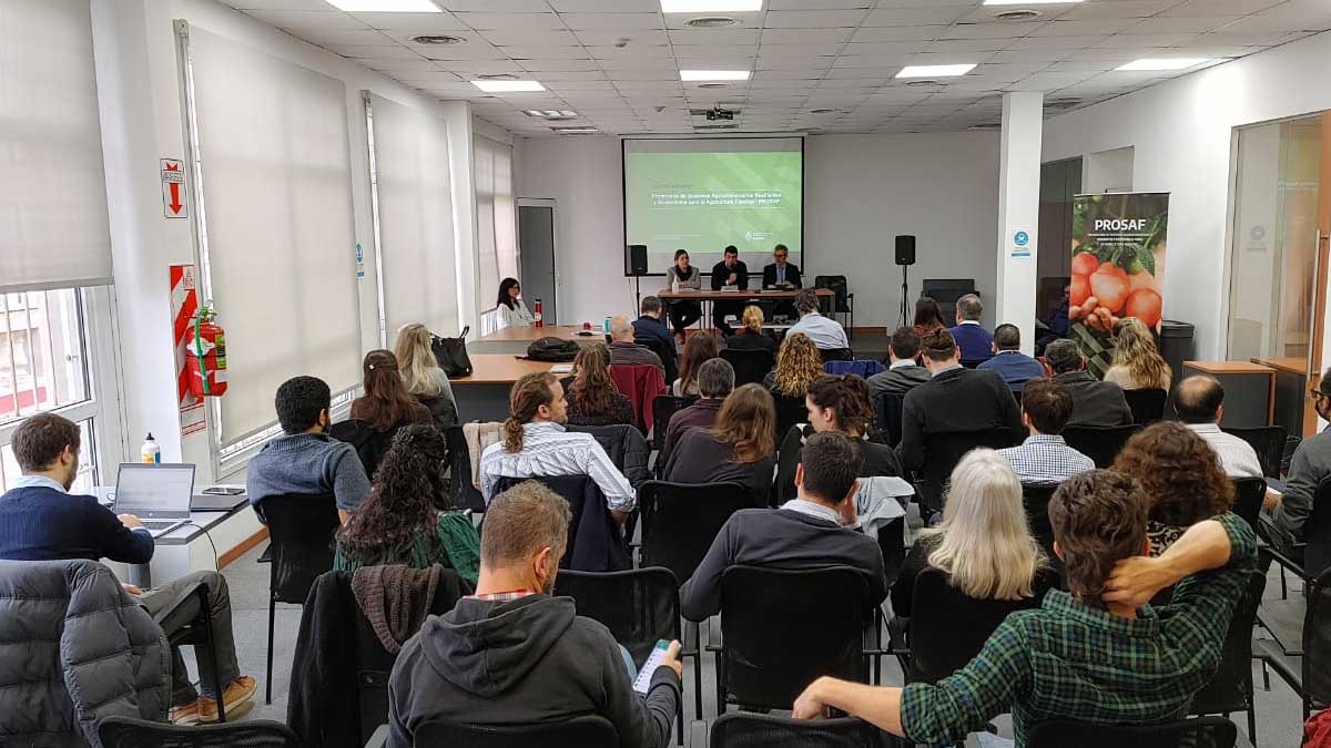 DIPROSE lanza un nuevo Programa