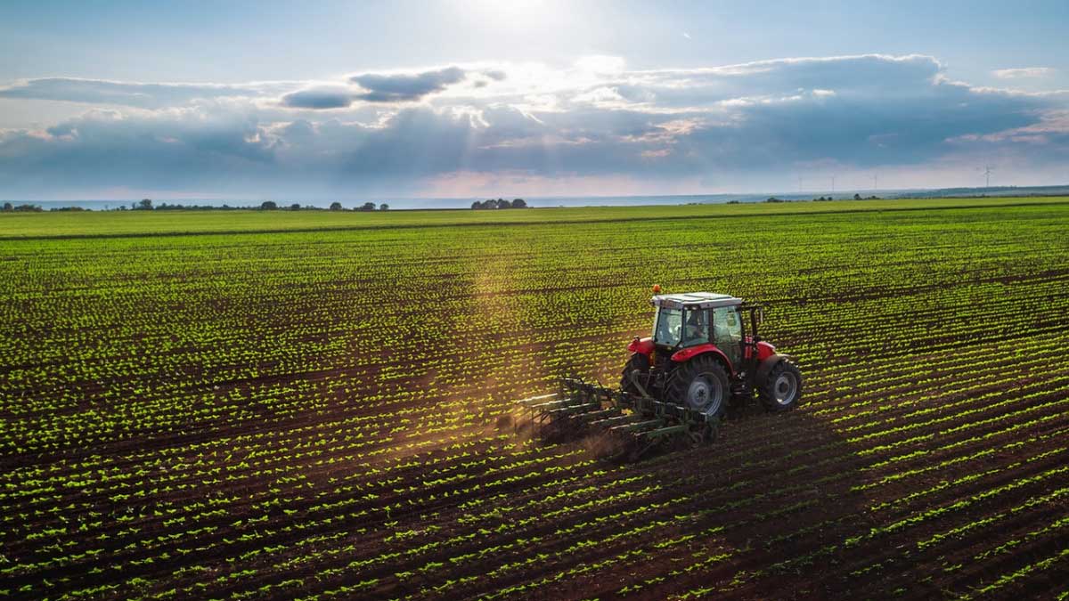 Director de FAO afirmó que reducir los costos comerciales puede ayudar a impulsar el desarrollo sostenible