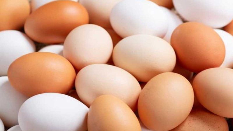 El sector avícola es uno los más afectados por el paro