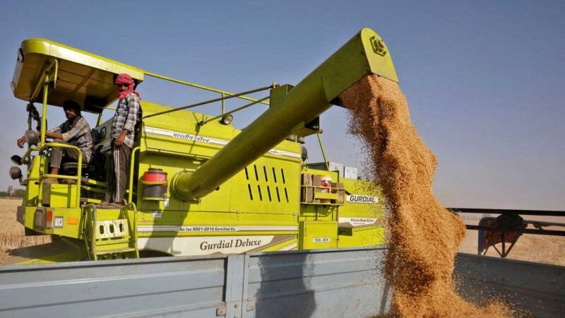 Emiratos Árabes Unidos suspenderá las exportaciones de trigo indio durante cuatro meses