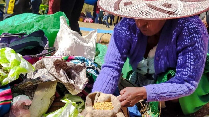 Empresa agropecuaria cubrirá el déficit en producción de cultivos agrícolas