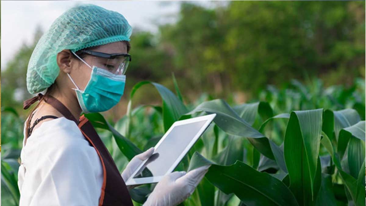 Gobierno fortalecerá la seguridad alimentaria