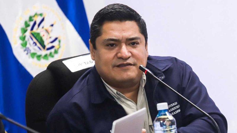 Gobierno propone distribuir agroinsumos para los productores del país