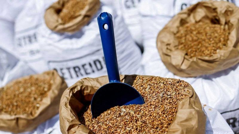 Gran Bretaña y Alemania presionan al G7 para que suspenda los mandatos de biocombustibles para controlar los precios de los alimentos