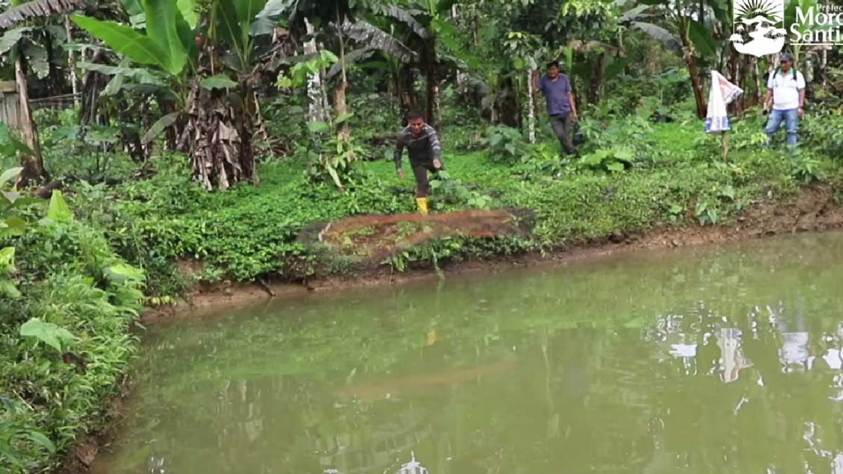 Habitantes de chinimp – parroquia sangay, son beneficiados con la entrega de alevines
