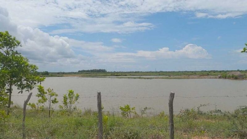 Intensas lluvias afectan al sistema agroalimentario