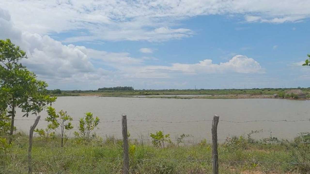 Intensas lluvias afectan al sistema agroalimentario
