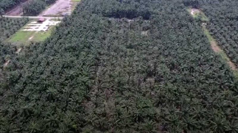 Las empresas de Malasia rechazan pedidos ante la escasez de mano de obra migrante