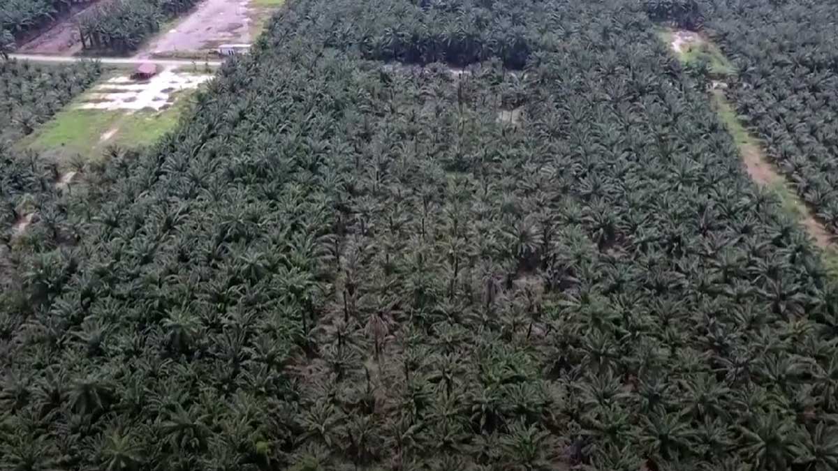 Las empresas de Malasia rechazan pedidos ante la escasez de mano de obra migrante