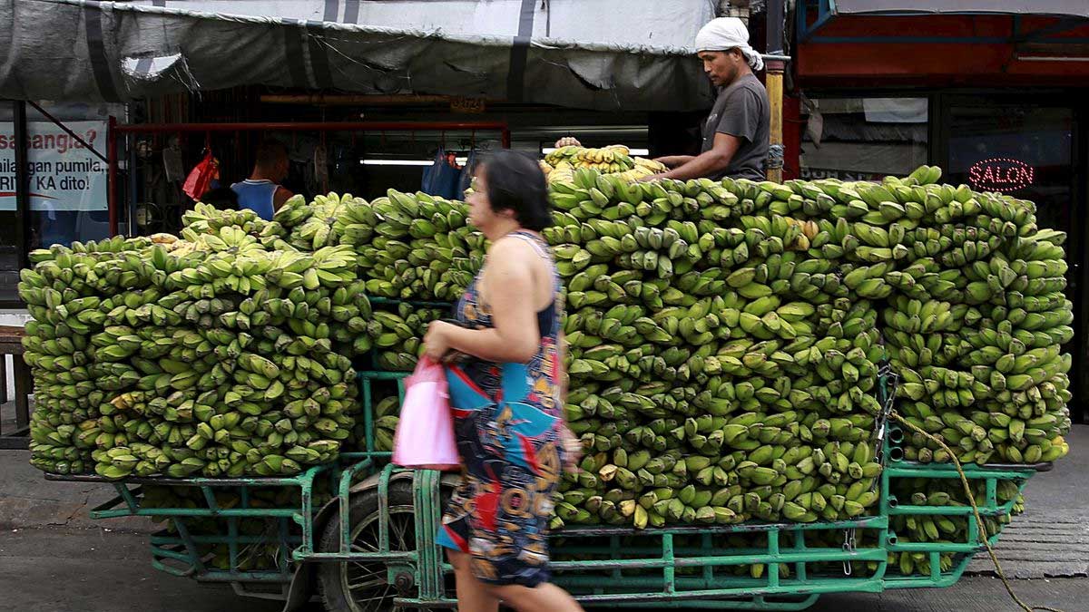 Los productores de bananas de Filipinas piden a los consumidores japoneses que soporten las subidas de precios