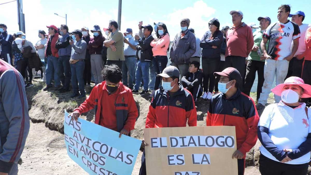 Más de 10.000 aves mueren a diario por falta de alimentación’, el clamor de productores avícolas que tienen dificultades por el paro