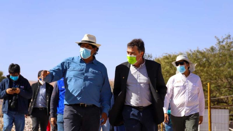 Ministerio de Agricultura apoya generación de vinos de altura en el desierto
