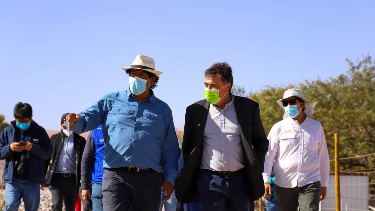 Ministerio de Agricultura apoya generación de vinos de altura en el desierto
