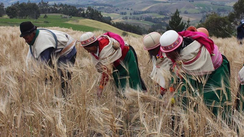 Nuevo proyecto protegerá las economías campesinas