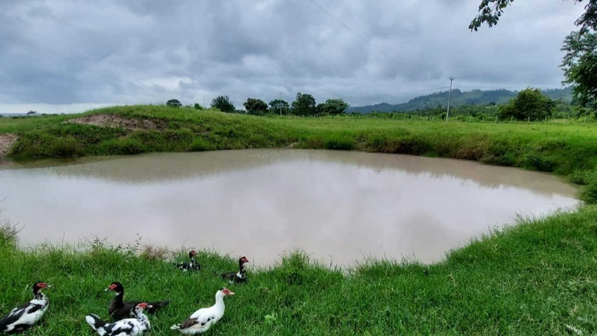 Prefectura beneficia al sector agropecuario con nuevo sistema de almacenamiento de agua