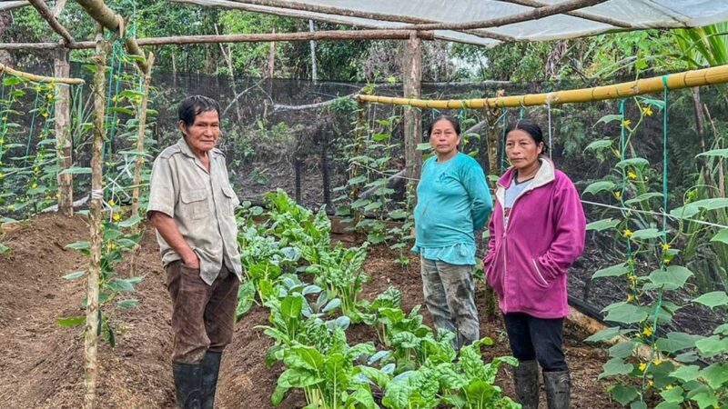 Prefectura impulsa la producción orgánica en la provincia