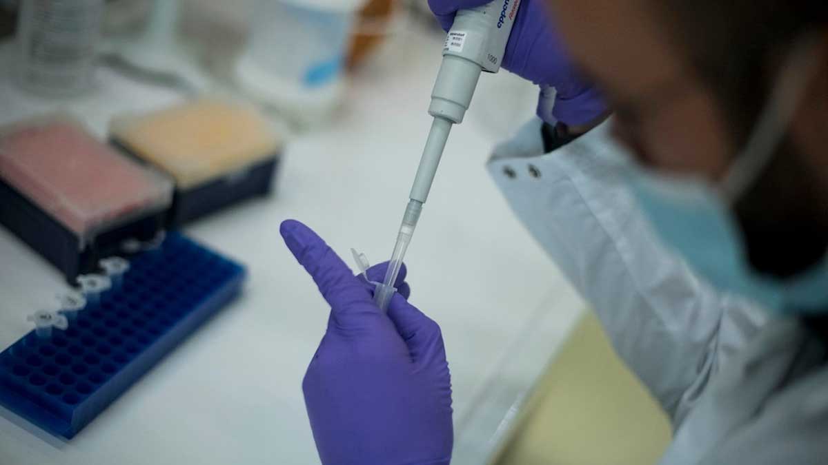 Primer caso de gripe aviar detectado en el Ártico