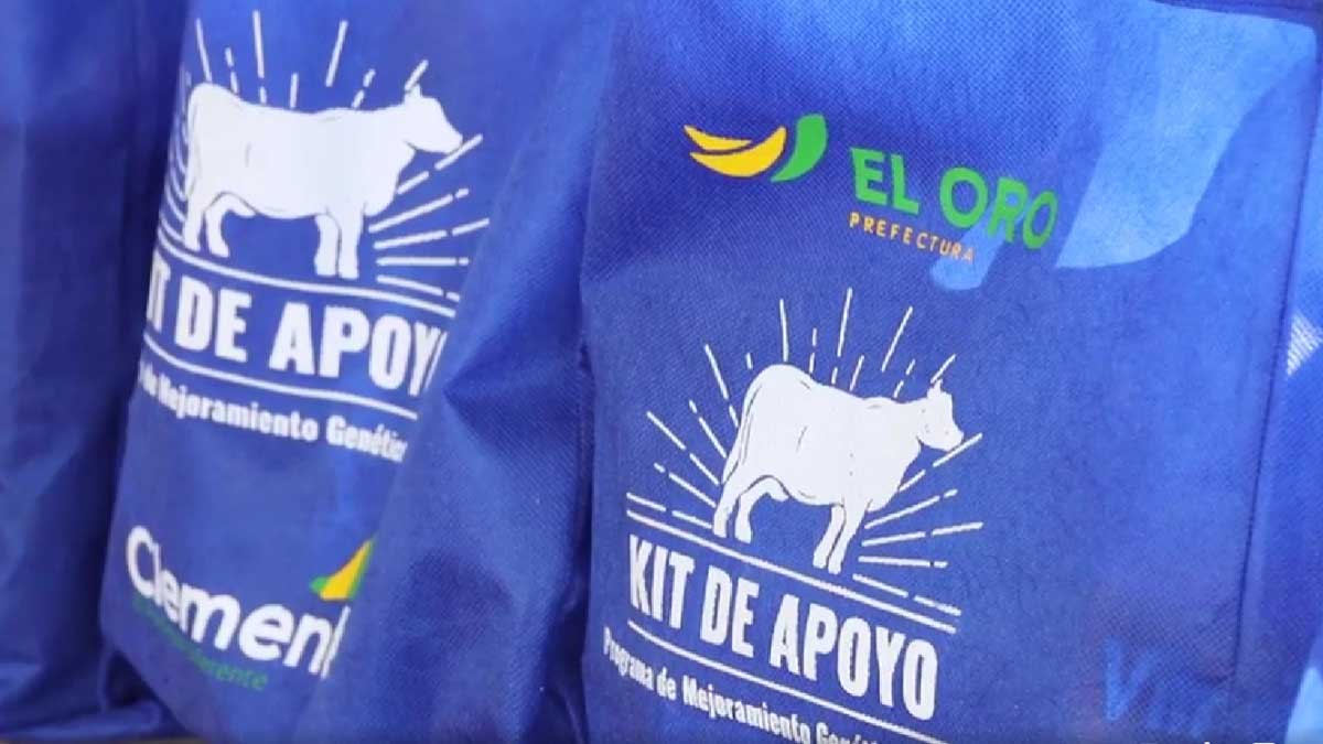 Programa de mejoramiento Genético Bovino,beneficia a familias del cantón Chilla