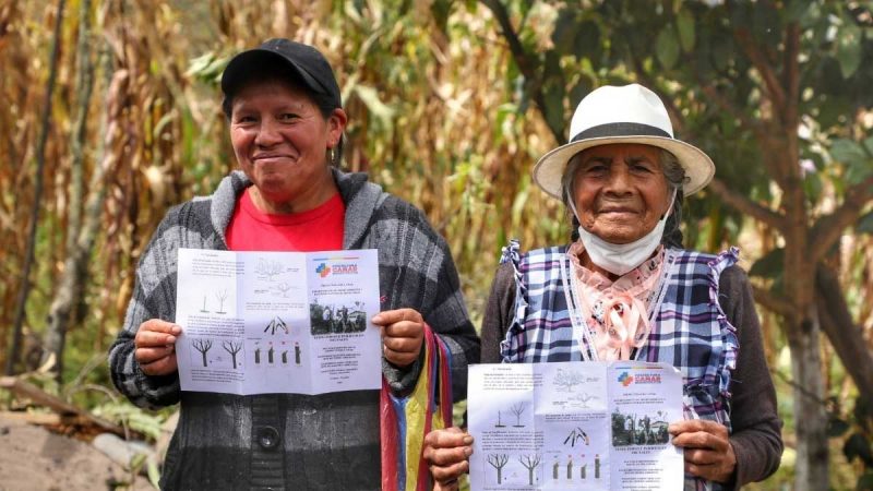 Propietarios de fincas se capacitan en poda de árboles frutales