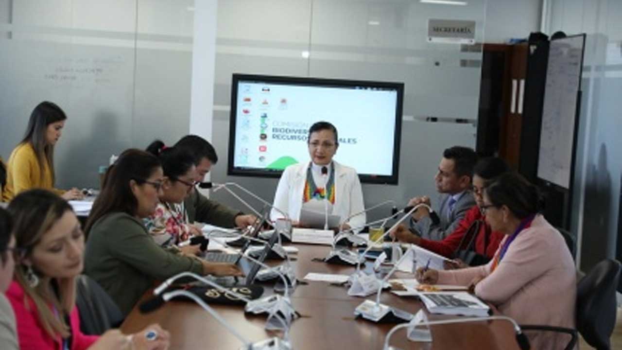 Proyecto de protección integral de páramos entra a debate en la comisión de biodiversidad