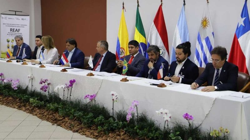 Representantes de diferentes países se reúnen en el REAF-MERCOSUR