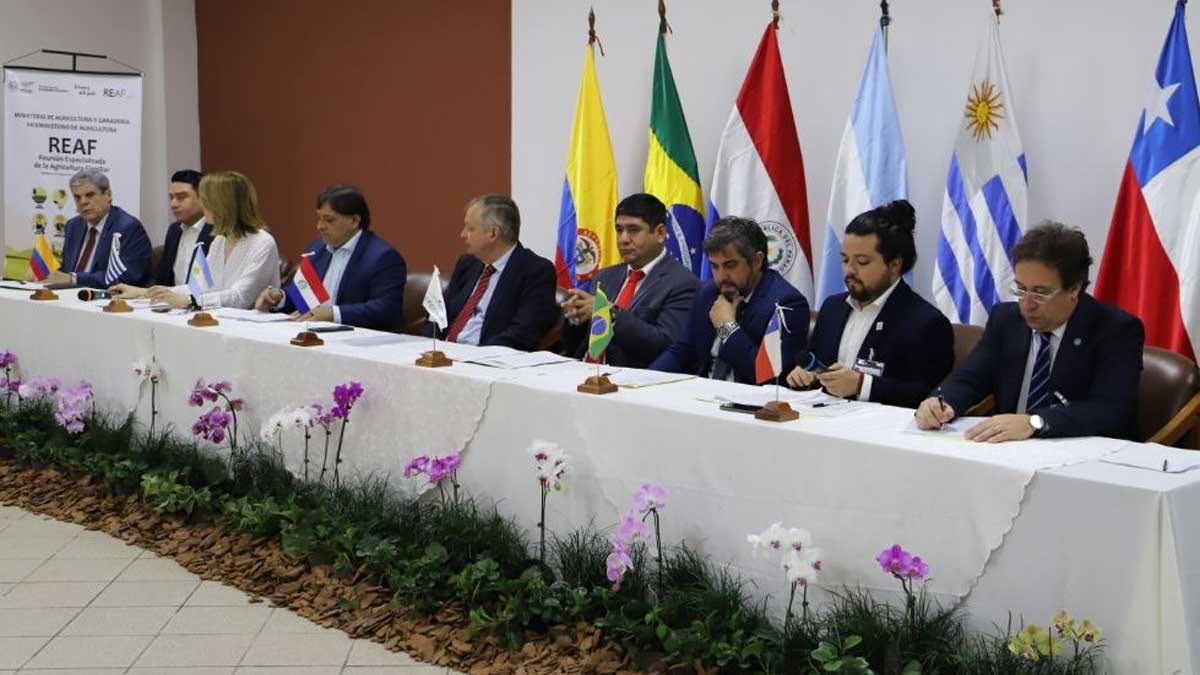 Representantes de diferentes países se reúnen en el REAF-MERCOSUR