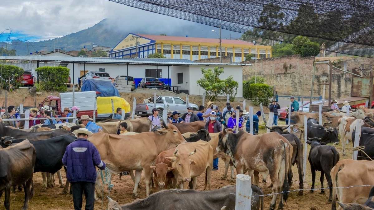Se desarrolló la Feria Agrícola y Ganadera Paltas 2022