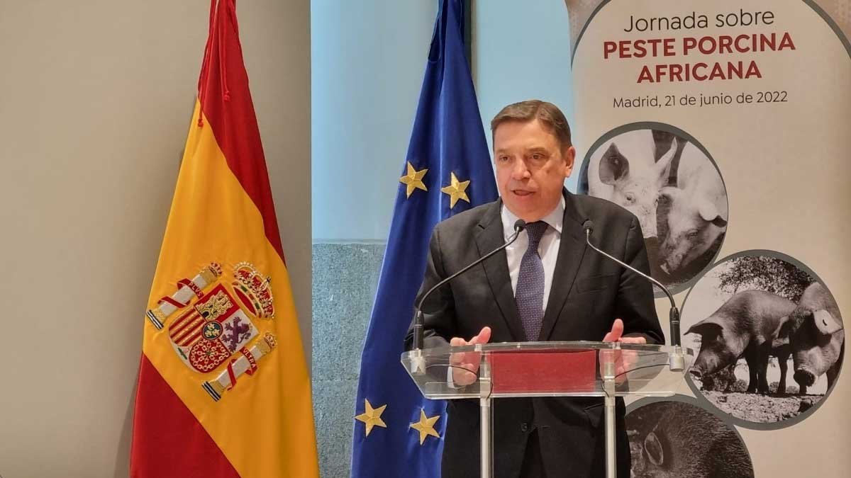 Se realiza debate sobre las medidas de vigilancia y control de la fiebre porcina africana