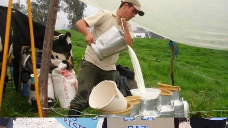 Se reunió mesa técnica de la leche