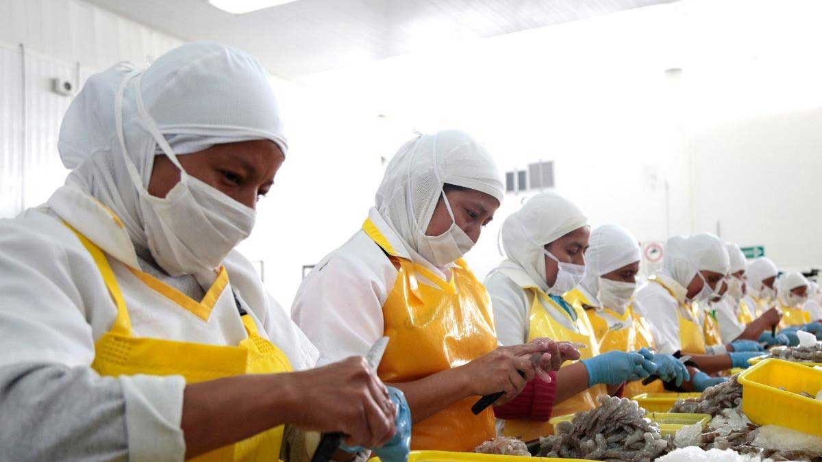 Sectores productivos reportan pérdidas por las paralizaciones